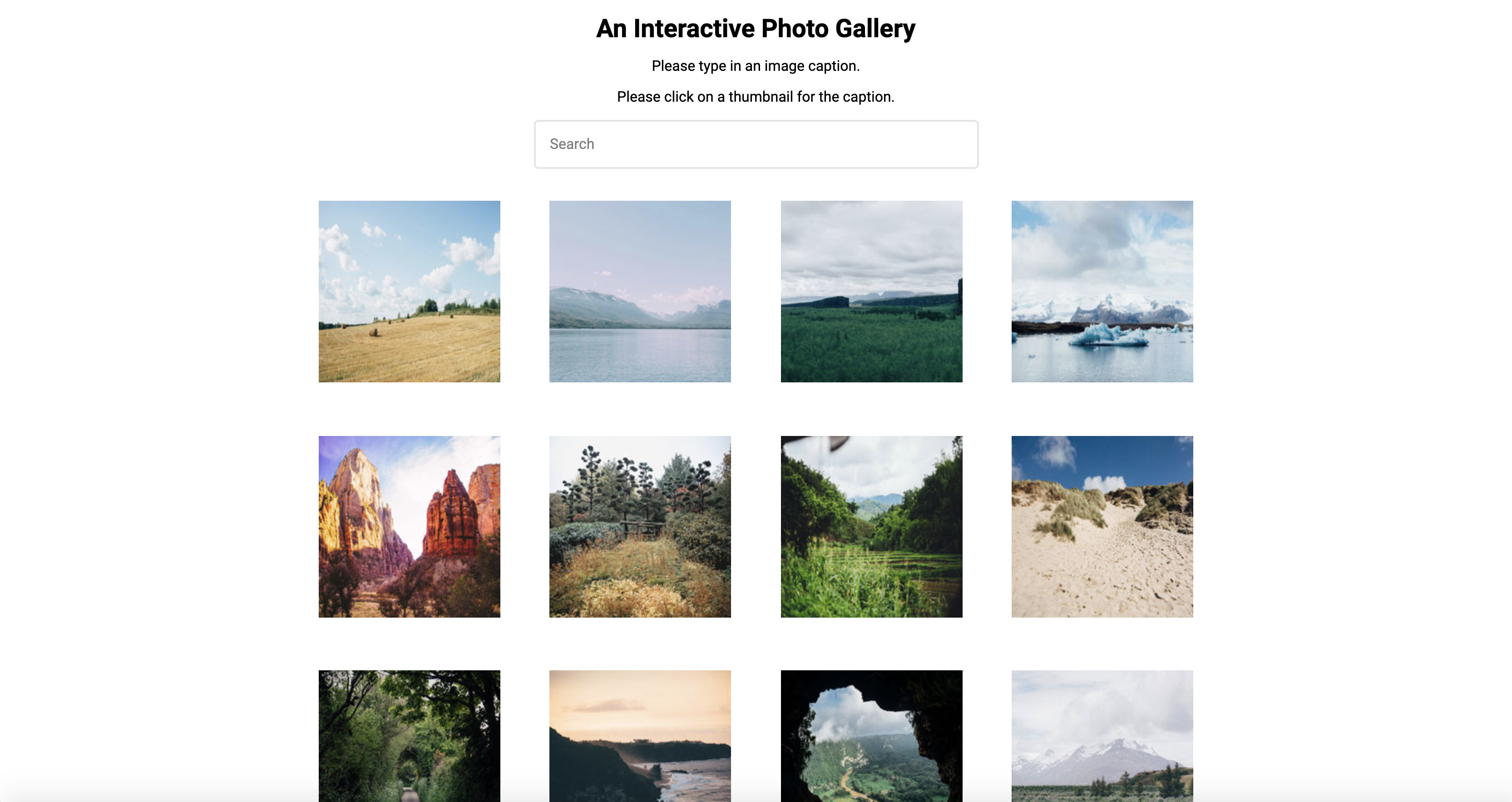 Interactive Photo Gallery Image